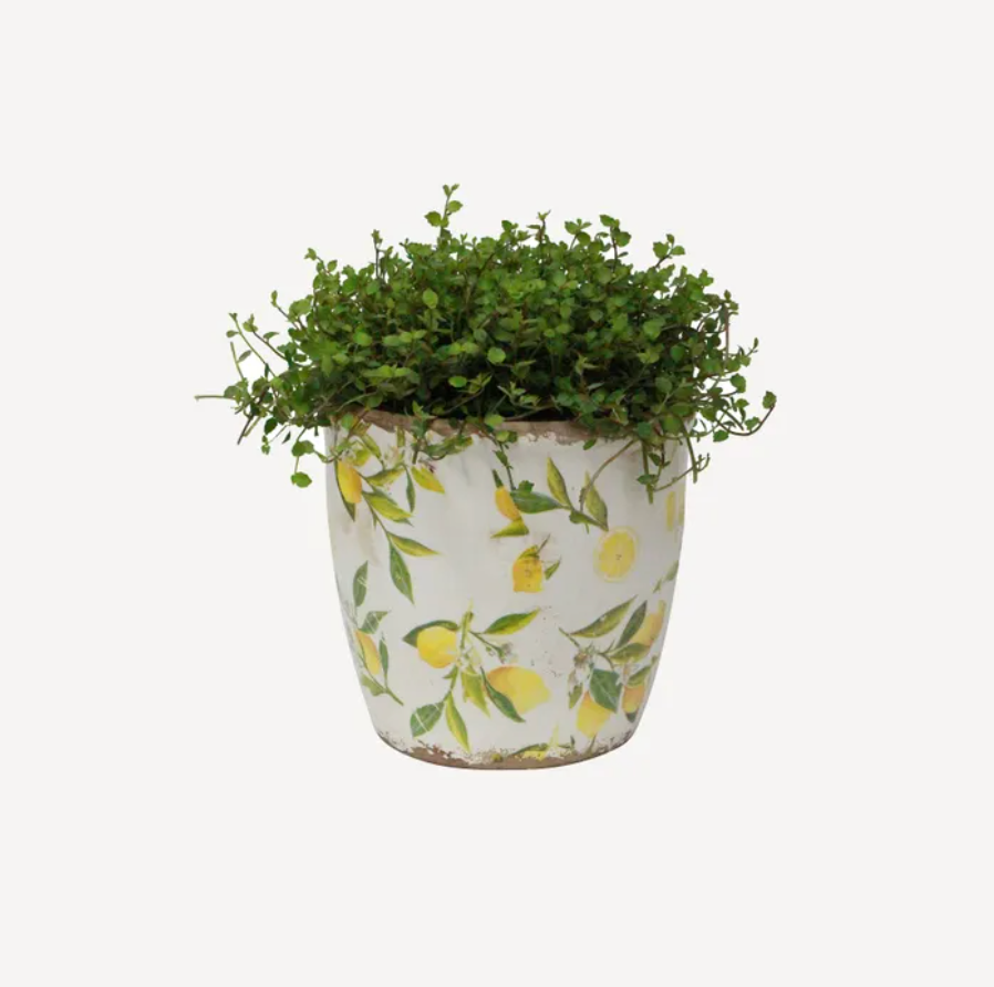 Botanical Lemon Pot | Large